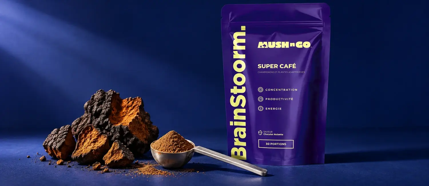 Brainstoorm di Mush N Go con pezzi di chaga e un misurino di polvere