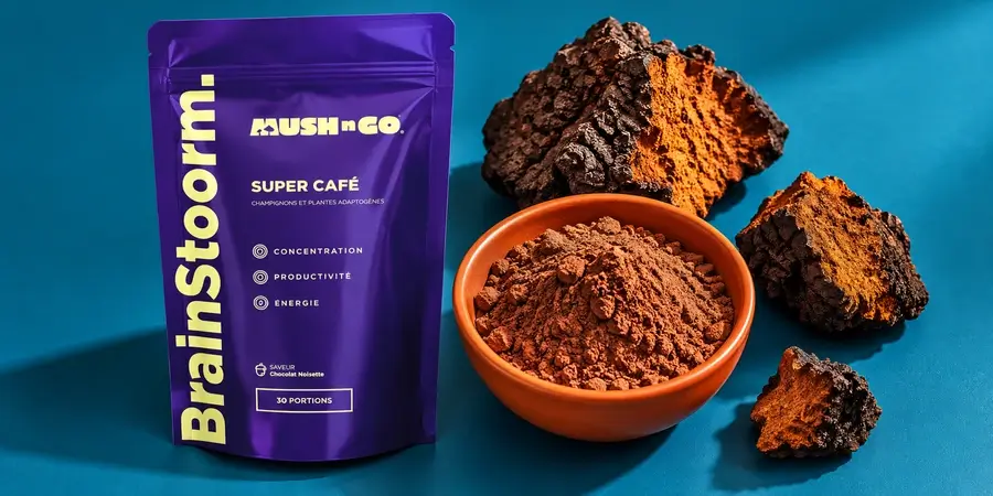 Confezione di Brainstoorm accanto a cacao in polvere e pezzi di chaga