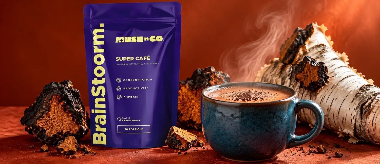 Brainstoorm di Mush N Go con pezzi di chaga, corteccia di betulla e una tazza fumante